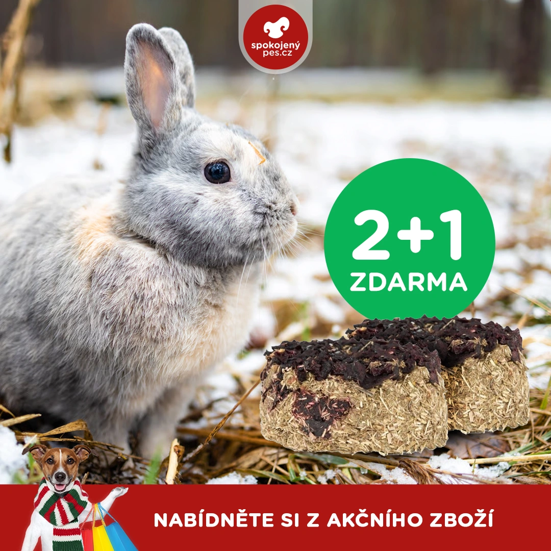 akční leden19.webp